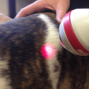 laser therapy for pain including arthritis