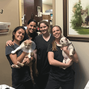 Veterinary Technicians & Assistants