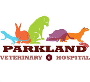 exotic pet care at parkland veterinary hospital