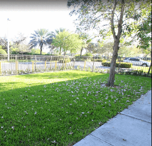 Doggie Daycare with fenced-in yard