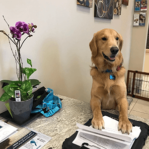 Receptionists at Parkland Veterinary Hospital